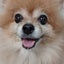 画像 きっきぃのひとりぼっちブログのユーザープロフィール画像