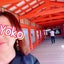 yokoのサムネイル