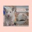 みーまやLoveのサムネイル