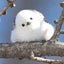 happy-haruru ですのサムネイル