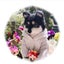 miiwankoのサムネイル