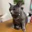 coolflat0917のサムネイル