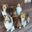 画像 liattymama0806のブログのユーザープロフィール画像