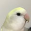minechu1のサムネイル