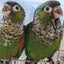 どりあんのサムネイル