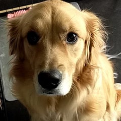 shimo-cosのプロフィール