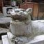 あいりのサムネイル