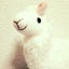 いけちゃんのサムネイル