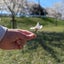 画像 死別シングルマザー~明るく前を向くしかない！~のユーザープロフィール画像