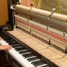 RiRiNのプロフィール