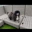 cocosora❤︎のサムネイル