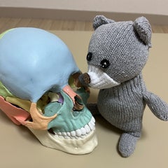 クラニオセラピストkinukoのプロフィール