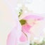 茶目 彩衣（ちゃめ あい）のサムネイル