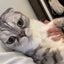 fukukitaru0912hyのサムネイル