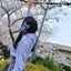 リリィのサムネイル
