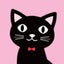 あこねこのサムネイル