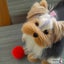 ＊masumi＊のサムネイル