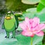 kappa130のサムネイル