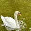 画像 花子の日記のユーザープロフィール画像