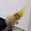 画像 いろんなことのユーザープロフィール画像