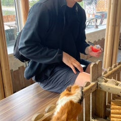 すけさんのプロフィール