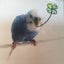みさとのサムネイル