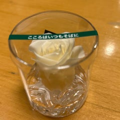 Rynのプロフィール
