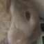 まるゆのサムネイル