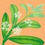 OLIVEのサムネイル