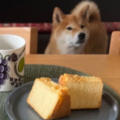 たろうママのプロフィール
