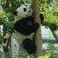 freebro0202のサムネイル