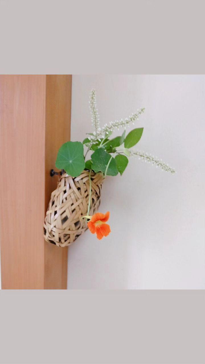今日の茶花は庭七竈と金水引 | 茶道の周辺あれこれを 横浜