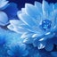 amebaapp-otoko3111のサムネイル