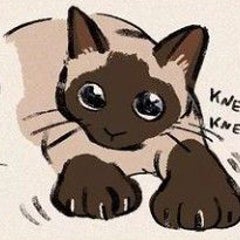田中みさきのプロフィール