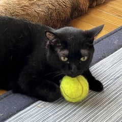 ようさわさん　～必要な人に届きますように～のプロフィール