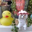 fukunekoniwaのサムネイル