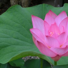 京の名言で豊かにのプロフィール