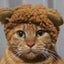 miyのサムネイル