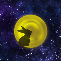 月とうさぎのプロフィール