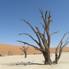 Aliceの旅の記録のプロフィール