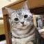 ゆみこのサムネイル