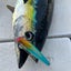 海と山のサムネイル