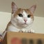 うえちゃん67のサムネイル