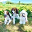 画像 Elmoと共に・・・のユーザープロフィール画像