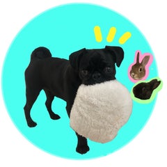 むむむっのプロフィール