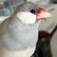 emiのサムネイル