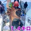 タムタムのサムネイル