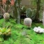 はーちゃんのサムネイル