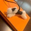 苺のサムネイル