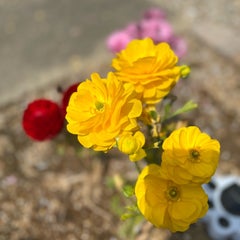 とーもママのプロフィール